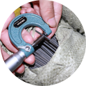 Material Inspection