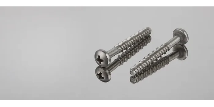 Stainless Steel Screws