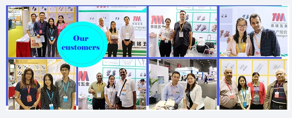 Foreign buyer discussing hex screws and bolts with Taiming Hardware sales team